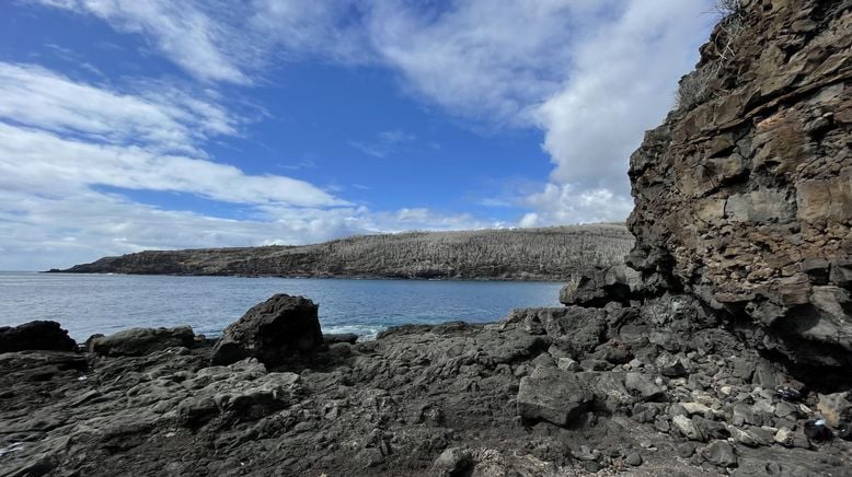 Giganten unter Wasser - Riesenfischen auf der Spur