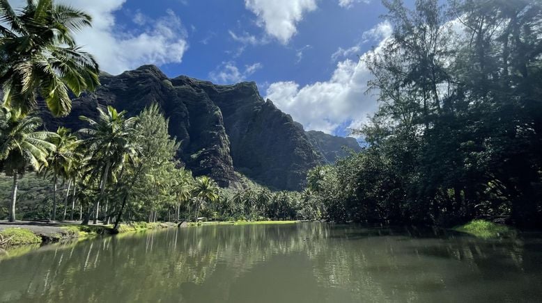 Giganten unter Wasser - Riesenfischen auf der Spur