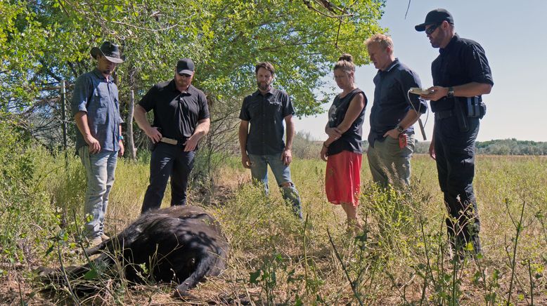 Das Geheimnis der Skinwalker Ranch