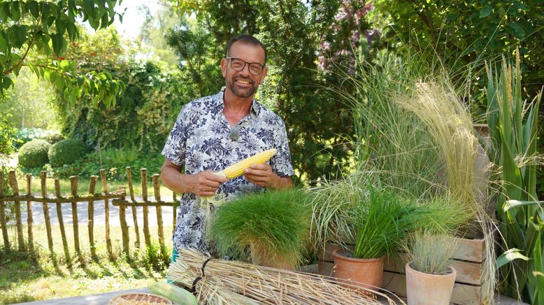 Natur im Garten