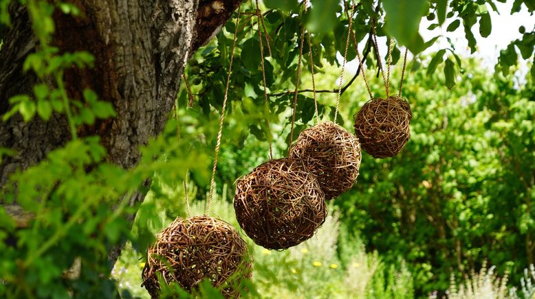 Natur im Garten