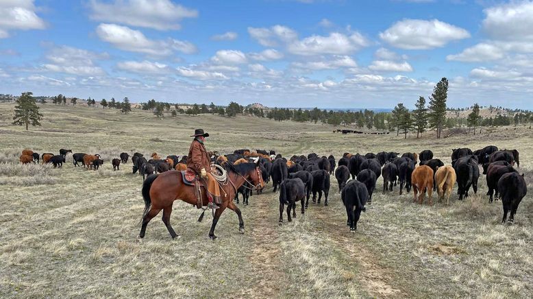 Rocky Mountains - Wo der Westen noch wild ist