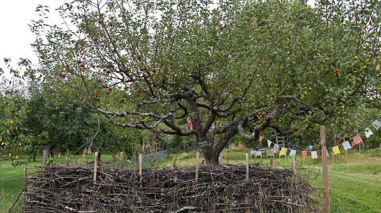 Rasch durch den Garten