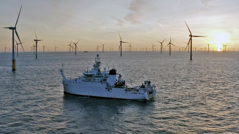 Windparks im Meer - Chance oder Risiko für die Natur?