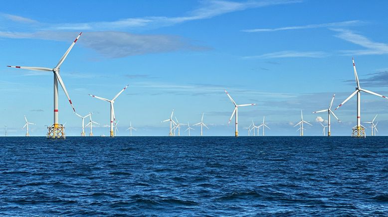 Windparks im Meer - Chance oder Risiko für die Natur?