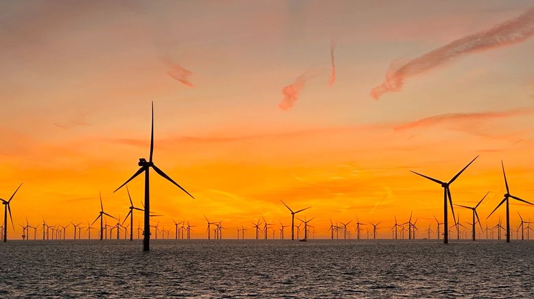 Windparks im Meer - Chance oder Risiko für die Natur?