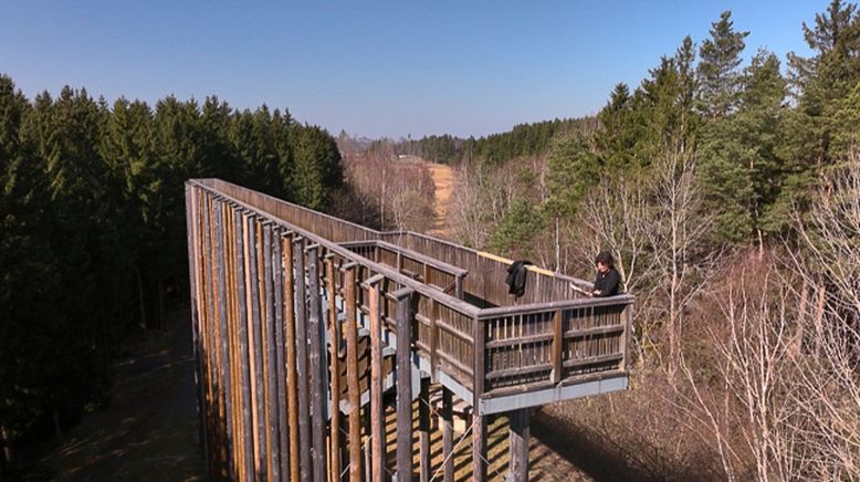 Das Waldviertel - Die bewegte Geschichte einer Grenzregion