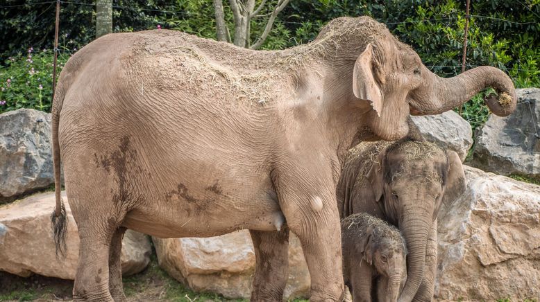 Zoo und so - Tierisch wild!