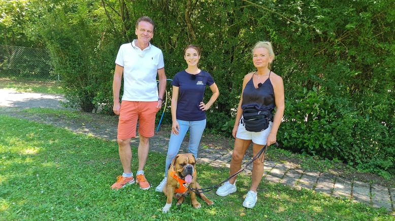 Der Hundeprofi - Rütters Team