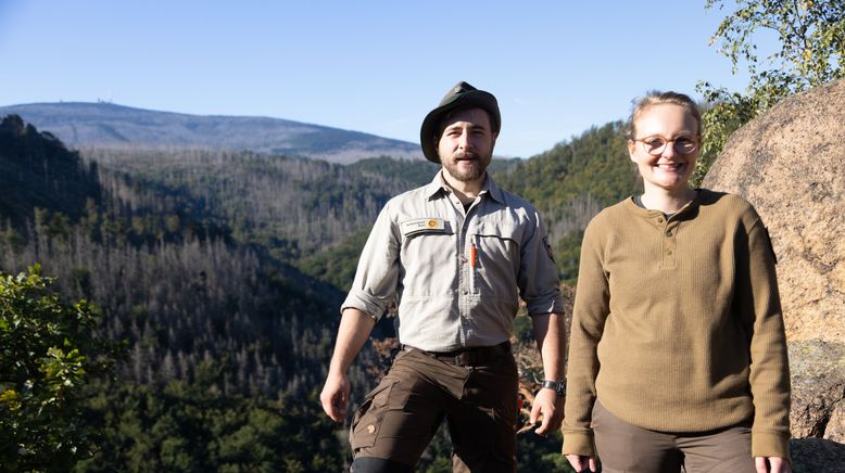 Der Harz - Wildnis im Herzen Europas