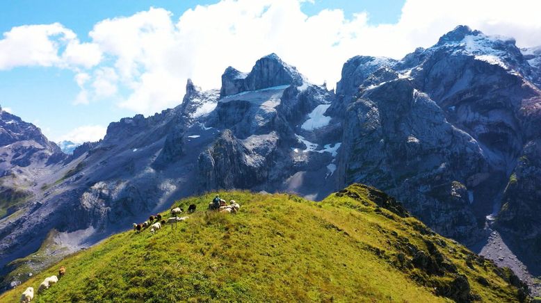 Die bunte Nutztierwelt in Vorarlberg