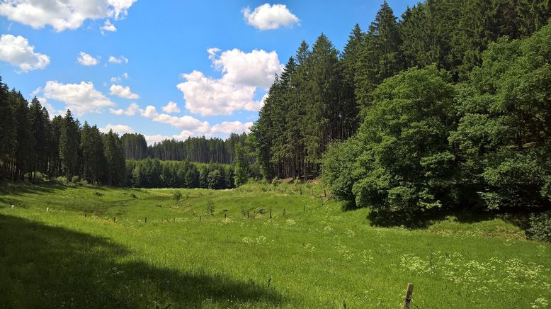 Abenteuer Sauerland - Eine Region erfindet sich neu