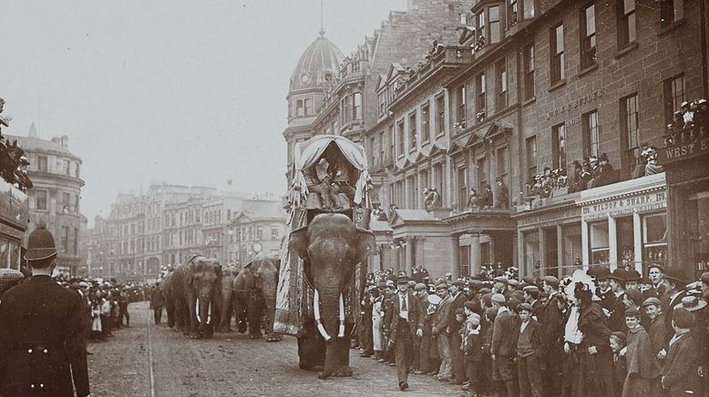 Fritz, der Elefant - Eine tragische Geschichte