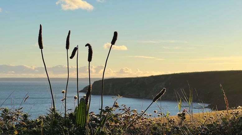 Das Paradies in der Ferne. Cornwall - Das Land der Rosamunde Pilcher