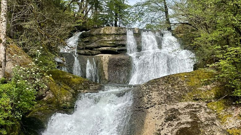 Wasserreich - Vorarlbergs Bäche, Seen und Wasserfälle