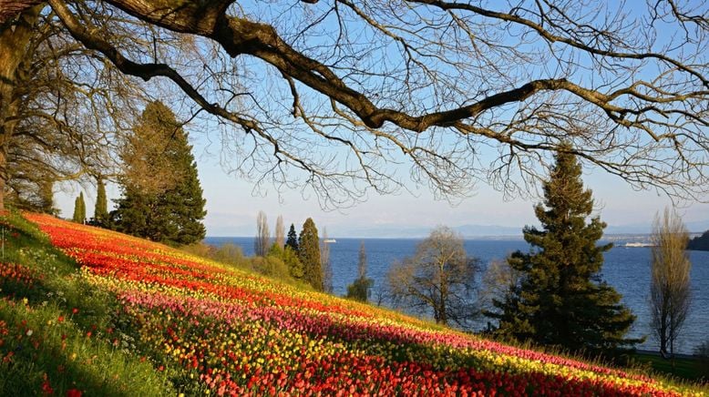 Faszinierender Bodensee