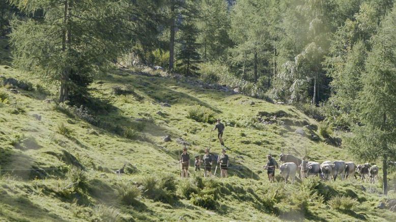 Land der Äcker - Die Bauern und die Politik