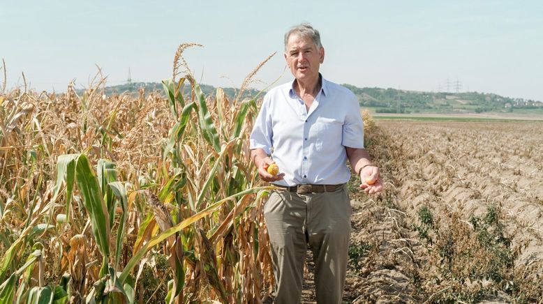 Land der Äcker - Die Bauern im Wandel der Zeit