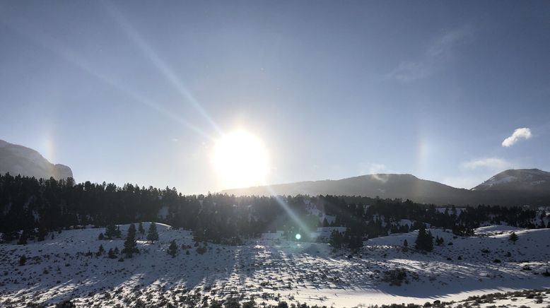 Die Wölfe des Yellowstone: Die nächste Generation