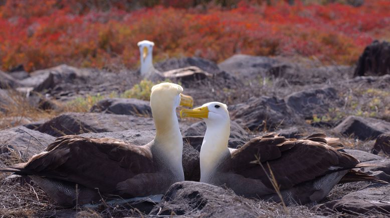 Ecuador, Hotspot der Artenvielfalt