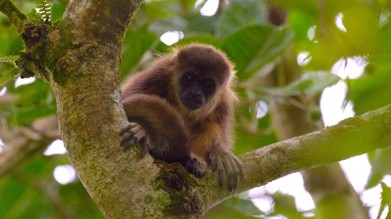 Ecuador, Hotspot der Artenvielfalt