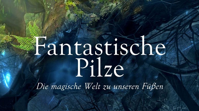 Fantastische Pilze - Die magische Welt zu unseren Füßen