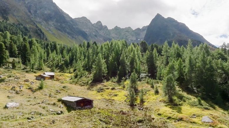 Bergsommer im Paznaun