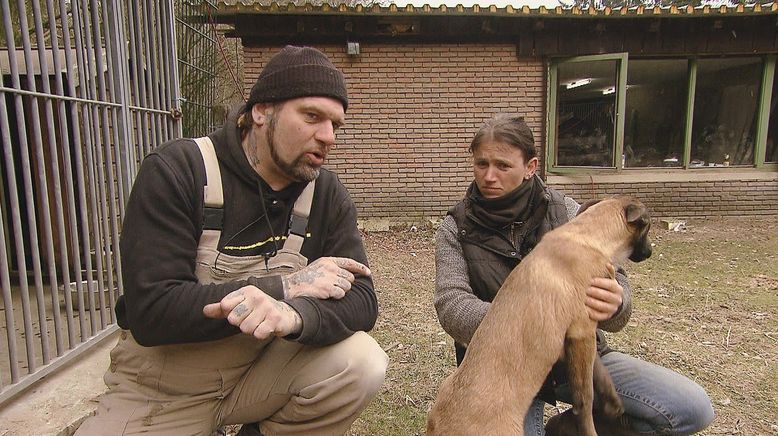 Harte Hunde - Ralf Seeger greift ein