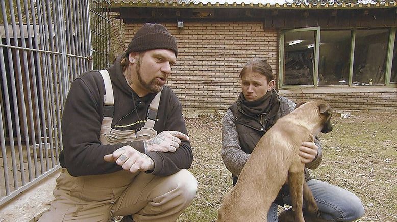 Harte Hunde - Ralf Seeger greift ein