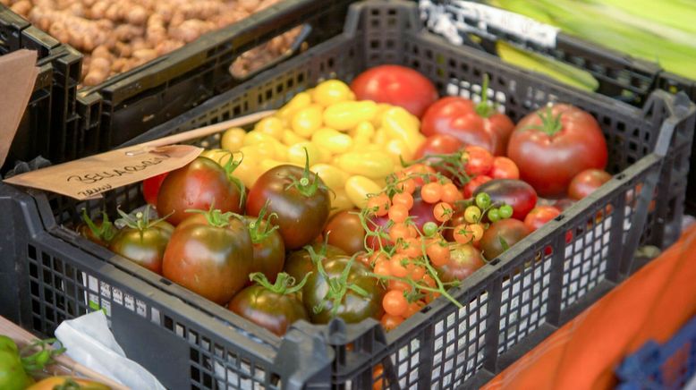 Küchenliebling Tomate - meist rot und rund, aber überraschend vielfältig