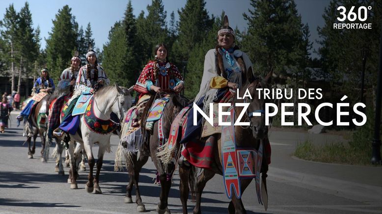 Freiheit auf Pferderücken - Der lange Weg der Nez Perce