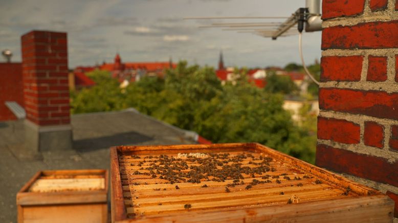 30 Dinge, warum man Friedenau wieder einmal besuchen sollte