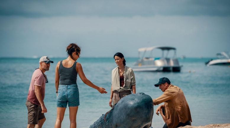 Retter der Meere: Tödliche Strandung