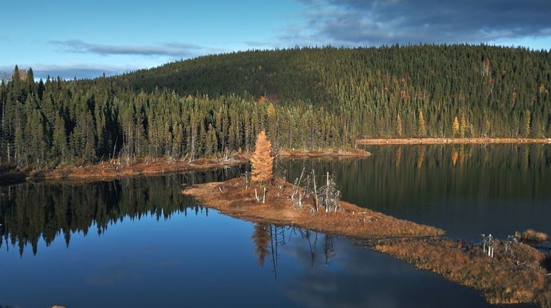 Naturerbe Kanada - Das nördliche Québec