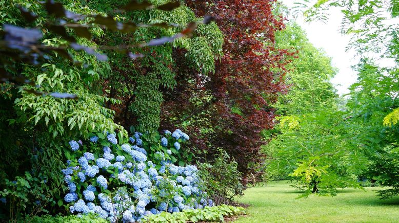 Natur im Garten