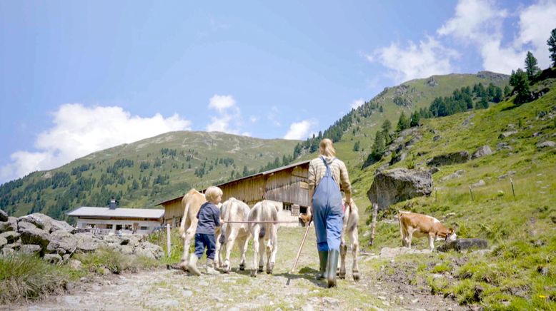 Rund um das Alpbachtal