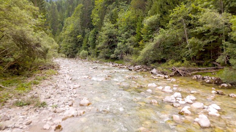 Rund um das Alpbachtal