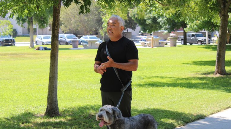 Cesar Millan: Guter Mensch, guter Hund