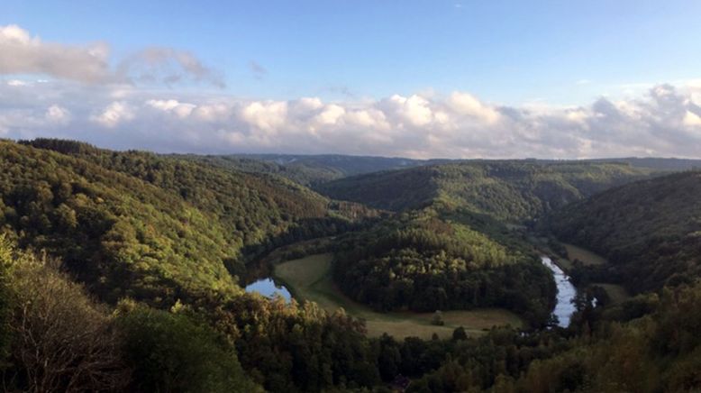 Die Ardennen