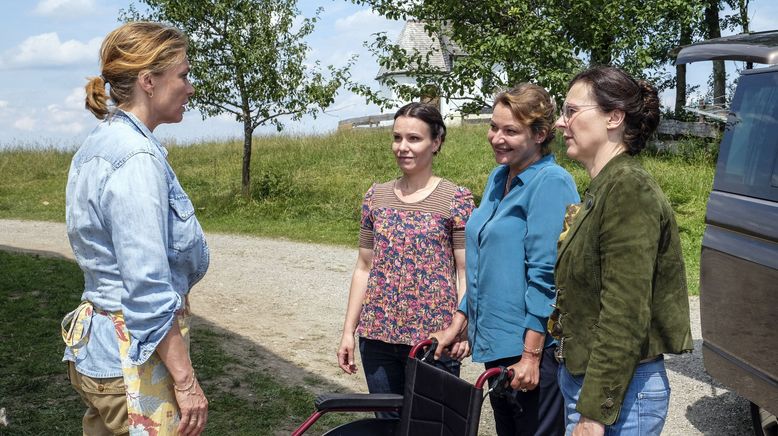 Zimmer mit Stall - Die Waschbären sind los