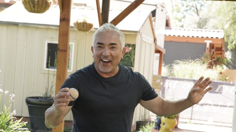 Cesar Millan: Guter Mensch, guter Hund