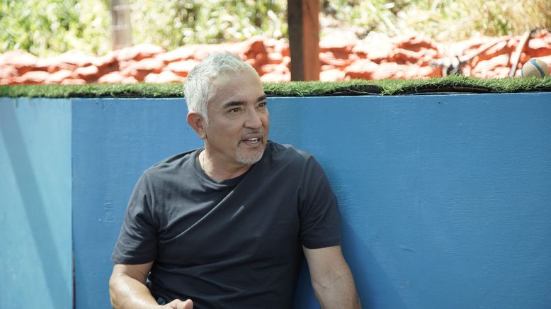 Cesar Millan: Guter Mensch, guter Hund