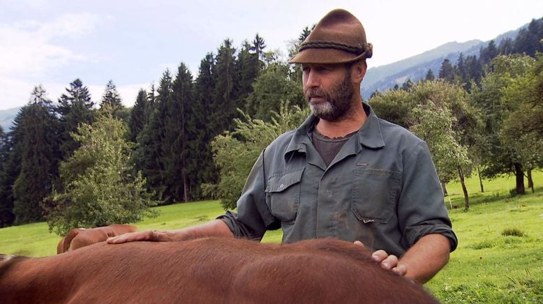 Alpenrinder - Von Sprinzen und Jochberger Hummeln