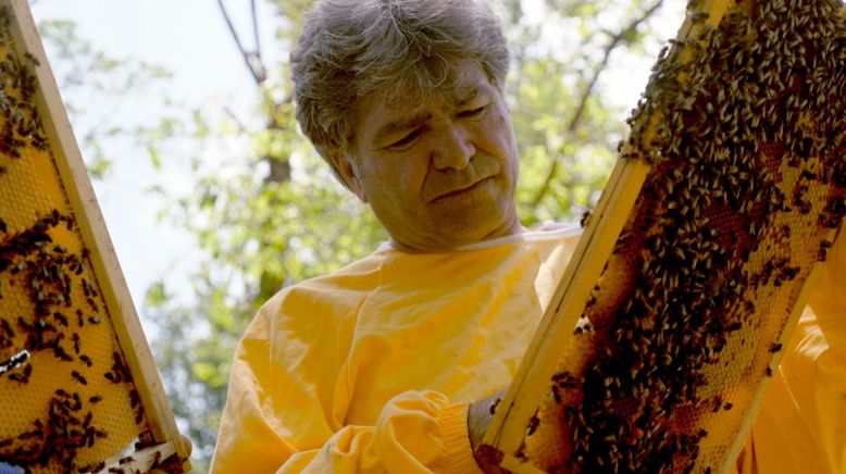 Die Bienenflüsterer