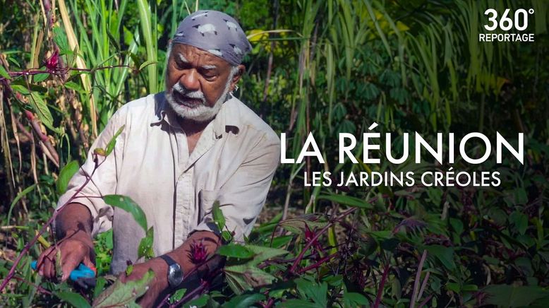 La Réunion: Die Wiederbelebung der kreolischen Gärten