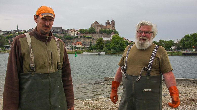 Der letzte Rheinfischer