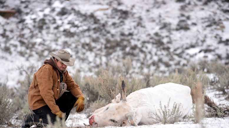 Wind River - Tod im Schnee