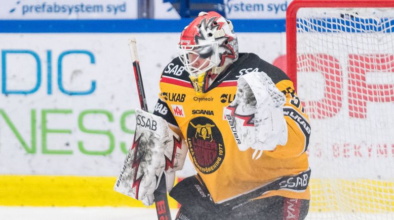 Eishockey Live - Svenska Hockeyligan