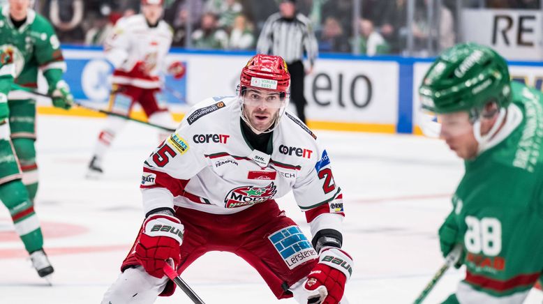 Eishockey - Svenska Hockeyligan