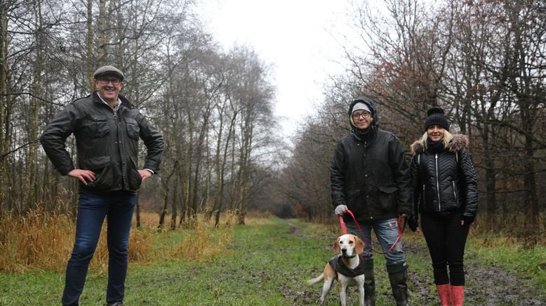 Hunde außer Kontrolle - Ein Coach für alle Felle